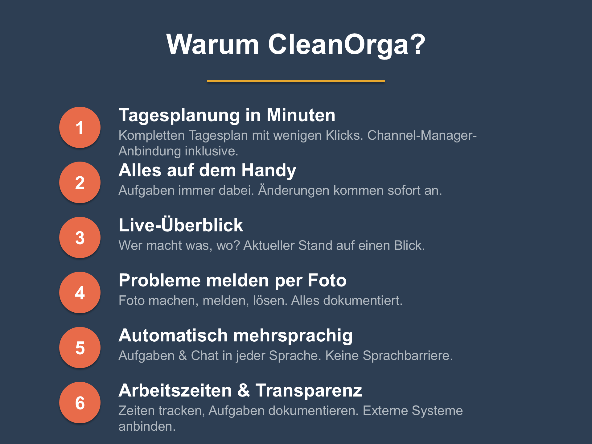 CleanOrga Screenshot 2